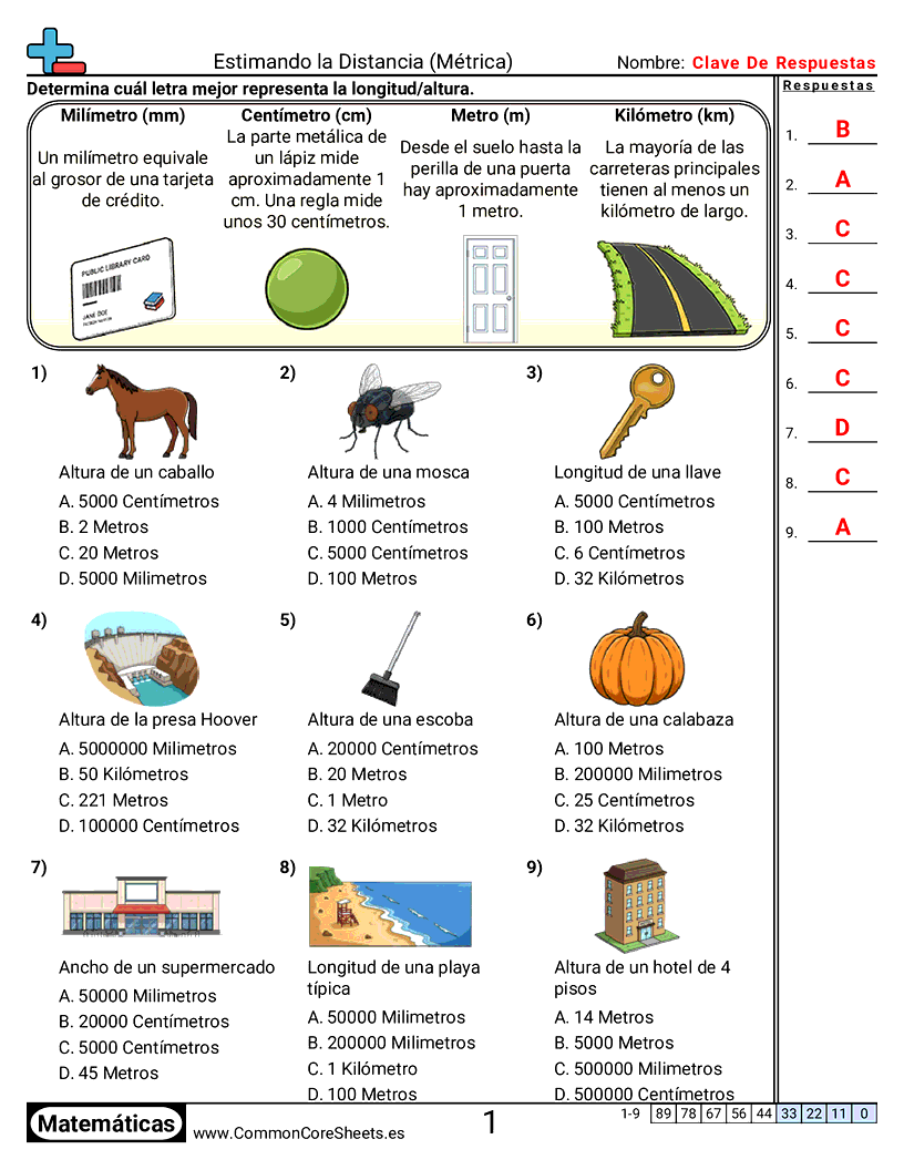 Ejercicios  de medición - Estimar longitud (métrica) worksheet